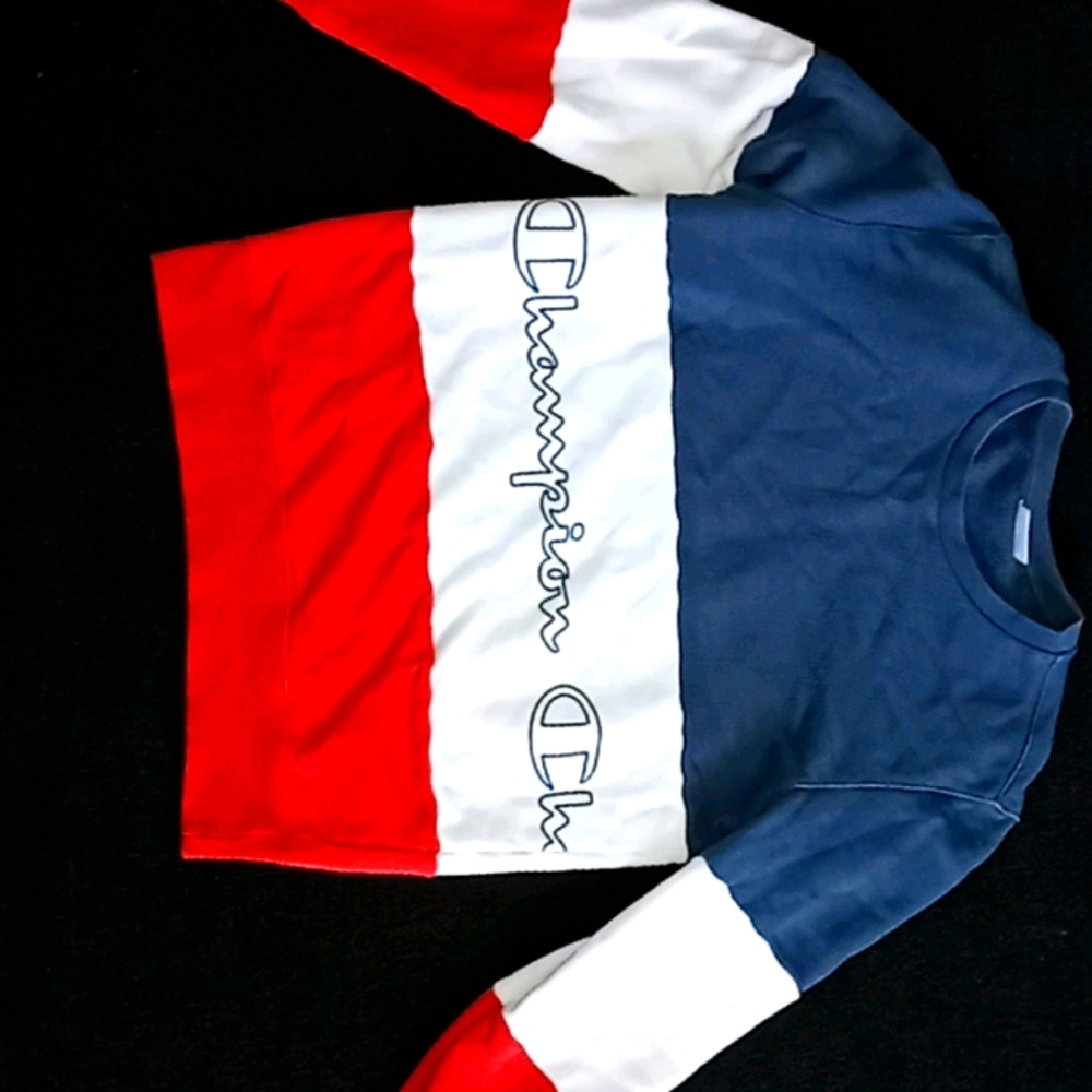 Champion Sweater